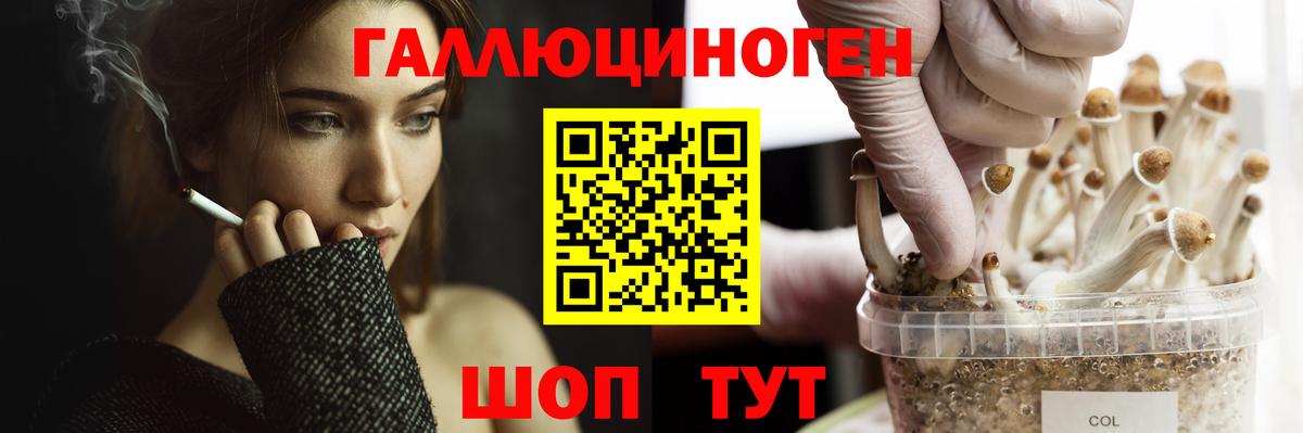 Галлюциногенные грибы мицелий  Вход с VPN  Кандалакша 